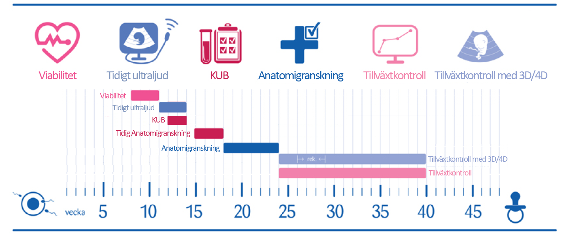 Undersökningar - Emmakliniken